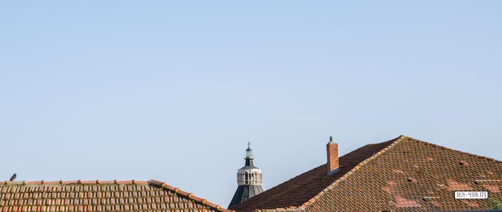 Vista