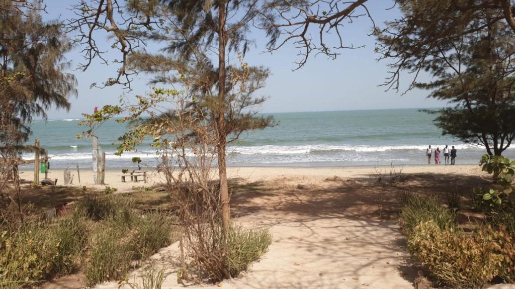 Simple Life on Baobab Beach, Tanji