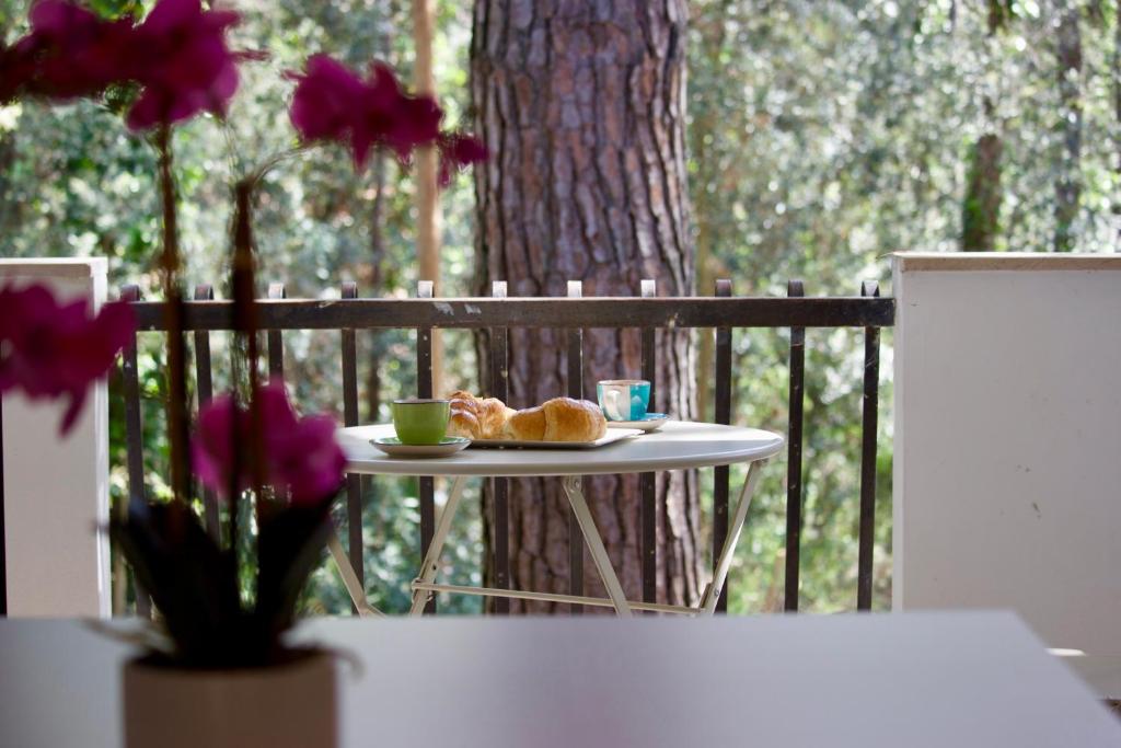 Villa Antonietta 4, Relax nella pineta - 2