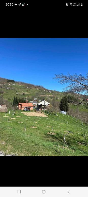 Firefly, Bijelo Polje