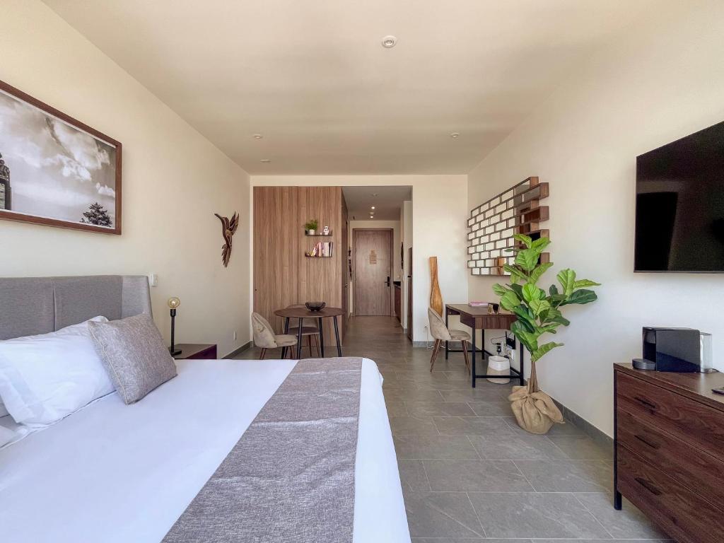 Mi Zona Lodging Reforma - 3