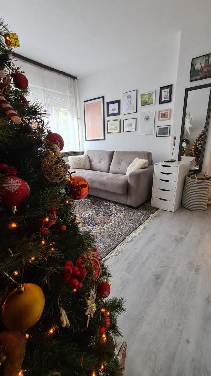 Peni Apartman Centar - 3