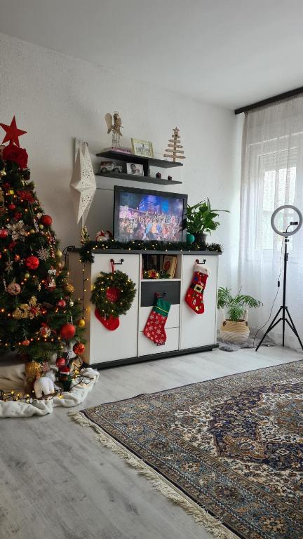 Peni Apartman Centar - 4