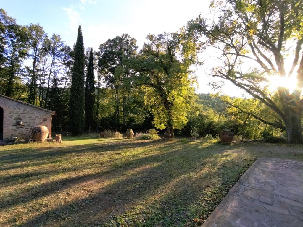 Il Bosco del Lebbio - 5