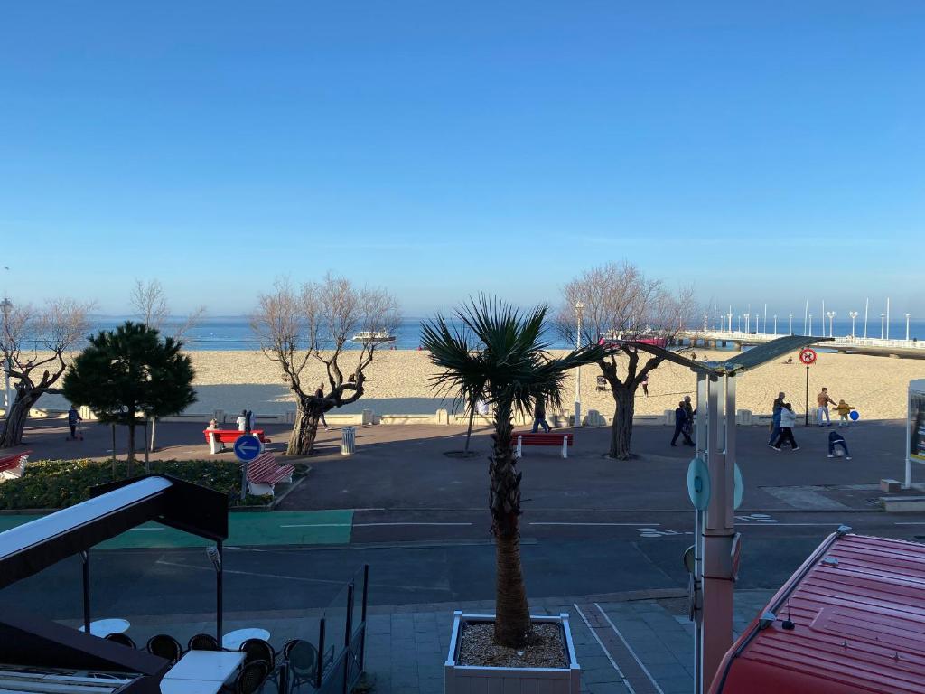 Arcachon : studio duplex face plage, centre-ville, Wi-Fi, parking - FR-1-319-500 - 1