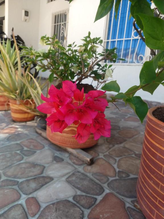 LA CASA DEL VIEJO GEORGE - 1