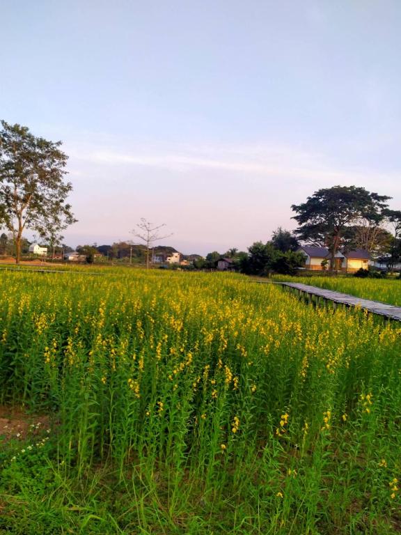 전망