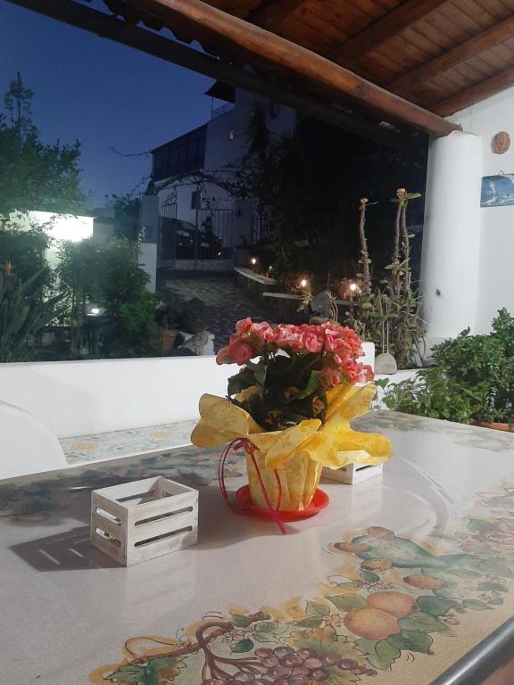 Casa Vacanze "Villa Angelina" - 5