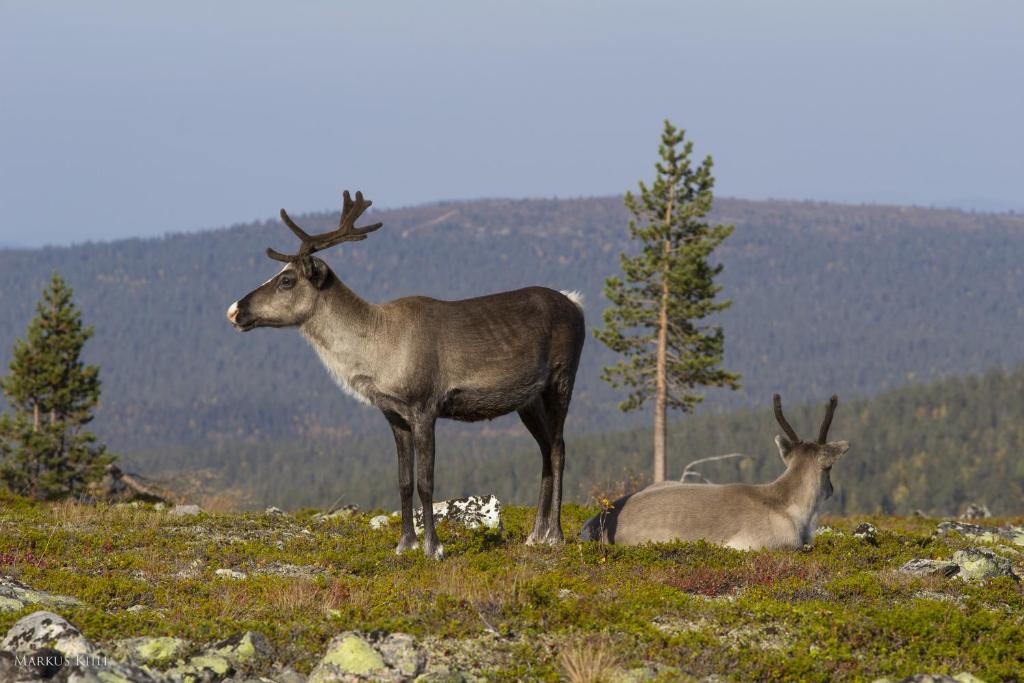Surrounding environment