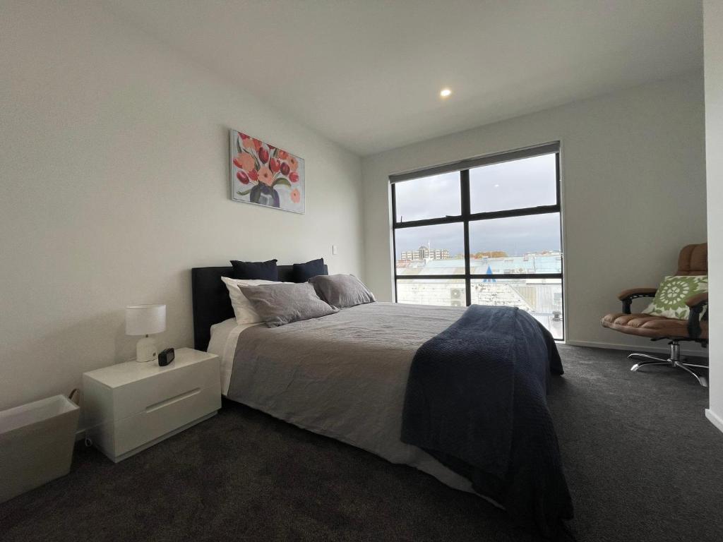 Stadium View Suite, Christchurch