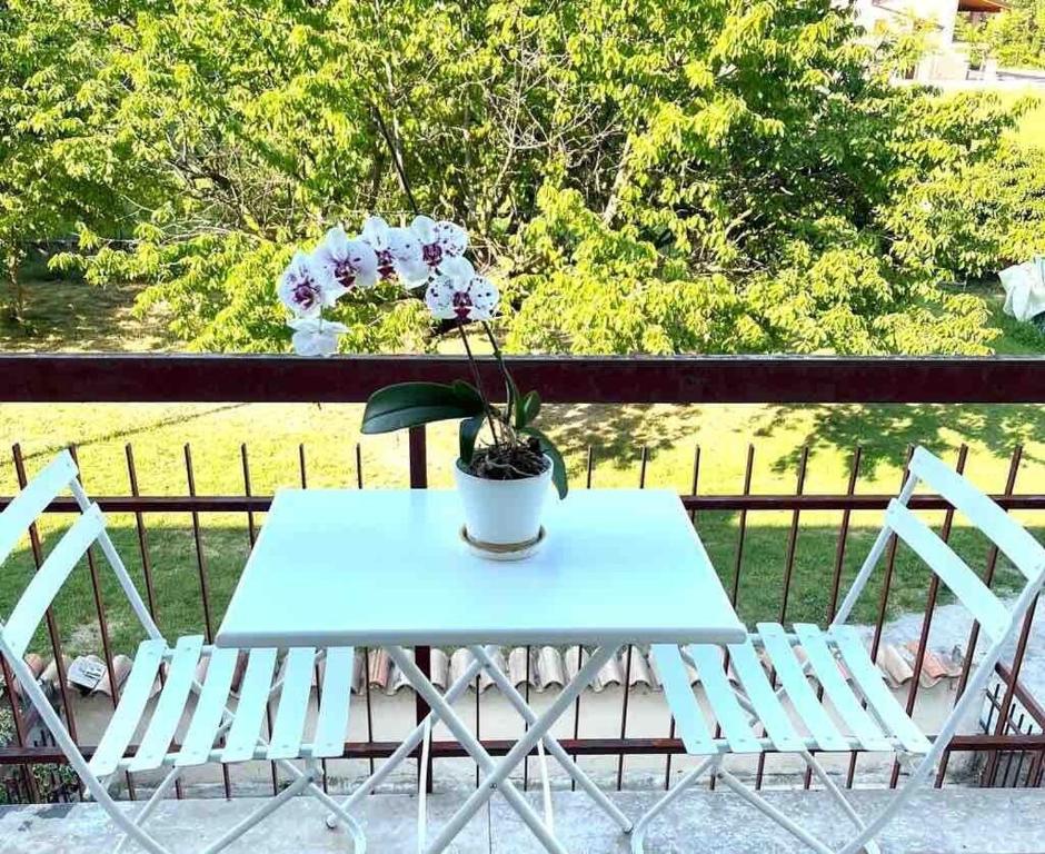 Palago 11, Peschiera del Garda