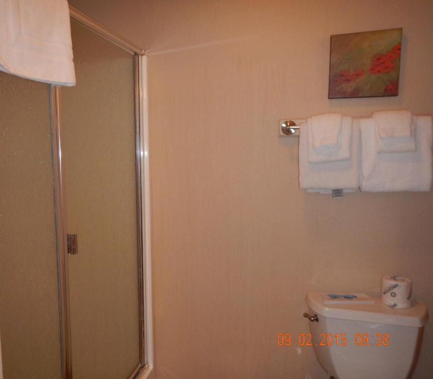Mount Shasta Resort photo