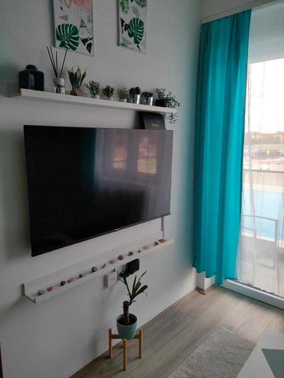 Apartment Tropical - Aqua Park Jagodina - 5