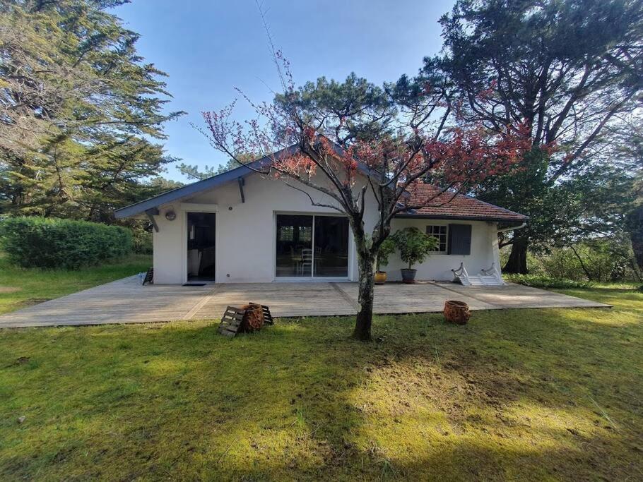 Villa proche centre-ville - 8182 - 1