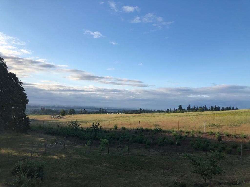 2 Bedroom Suite: Views, Private Entrance, EVchgr, Amity