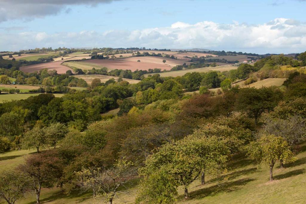The shepherds hut at abberley glamping, Abberley