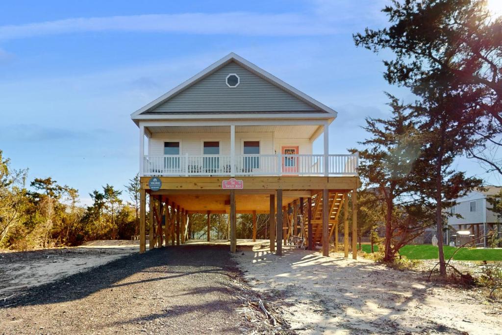 The Turtle's Nest, Salvo