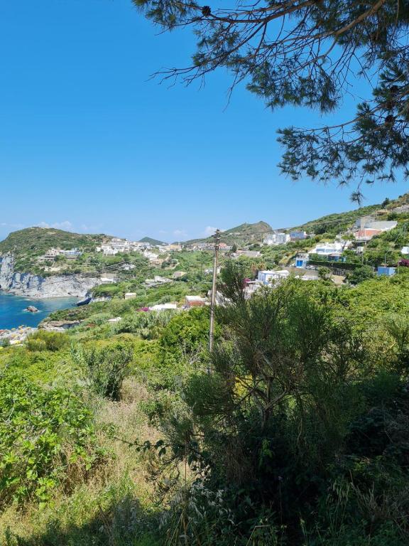 Le Case dei Pescatori - Albicocco - 3