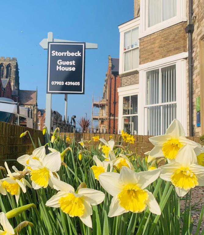 Storrbeck Guest House, Whitby