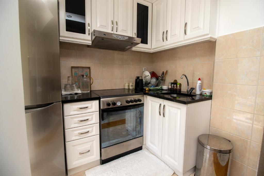 APARTMENTS ANI - 3