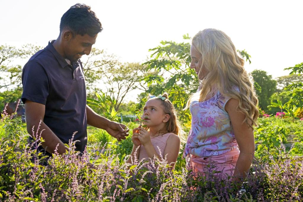 Nadi Sheraton Fiji Golf & Beach Resort Additional