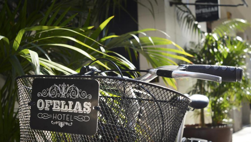 Sport és szabadidő