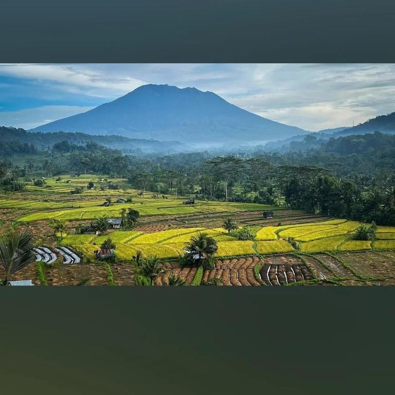 Lumbung ayu sari and spa, Sidemen