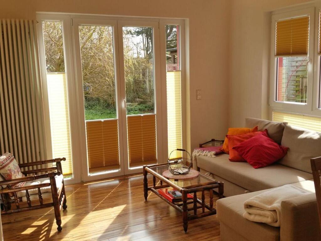 Bird flight in the house by the pond, Fehmarn