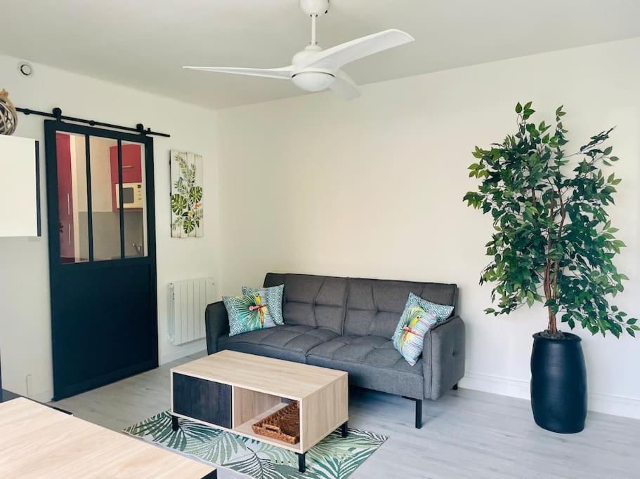 Studio 25m2, 4 pers cosy, design, avec parking privé, La Grande Motte