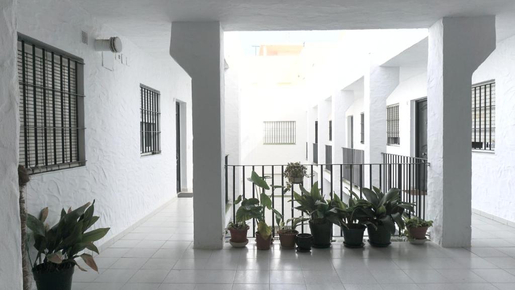 Apartamento Conil playa Bateles - 4