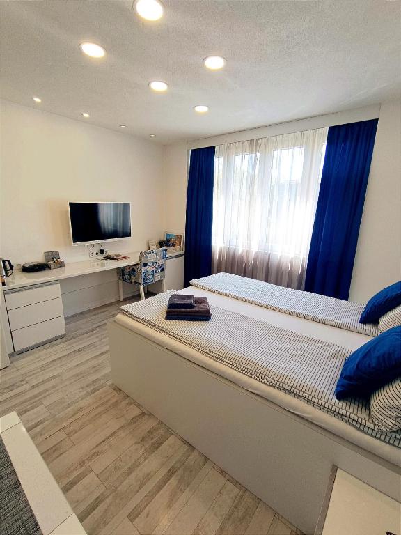 LuxApart Dzidzikovac City Centar free parking - 3