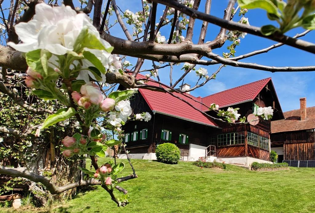 Ferienhaus Müller Bauernhaus - 2