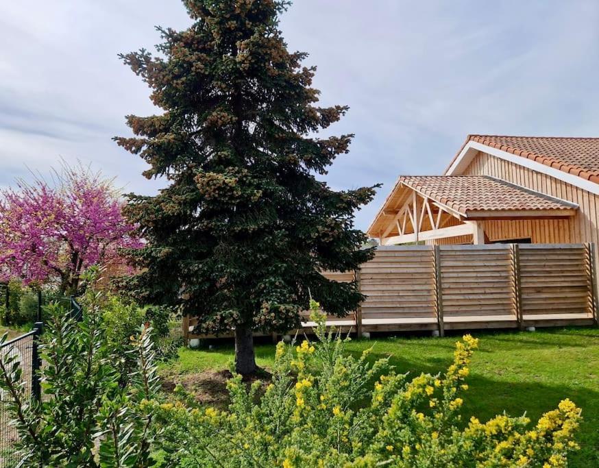 Belle Villa Terra Mare classée 4 étoiles entre océan et bassin - 5