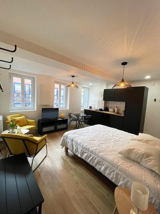 Studio Flowers - métro - wifi, Toulouse