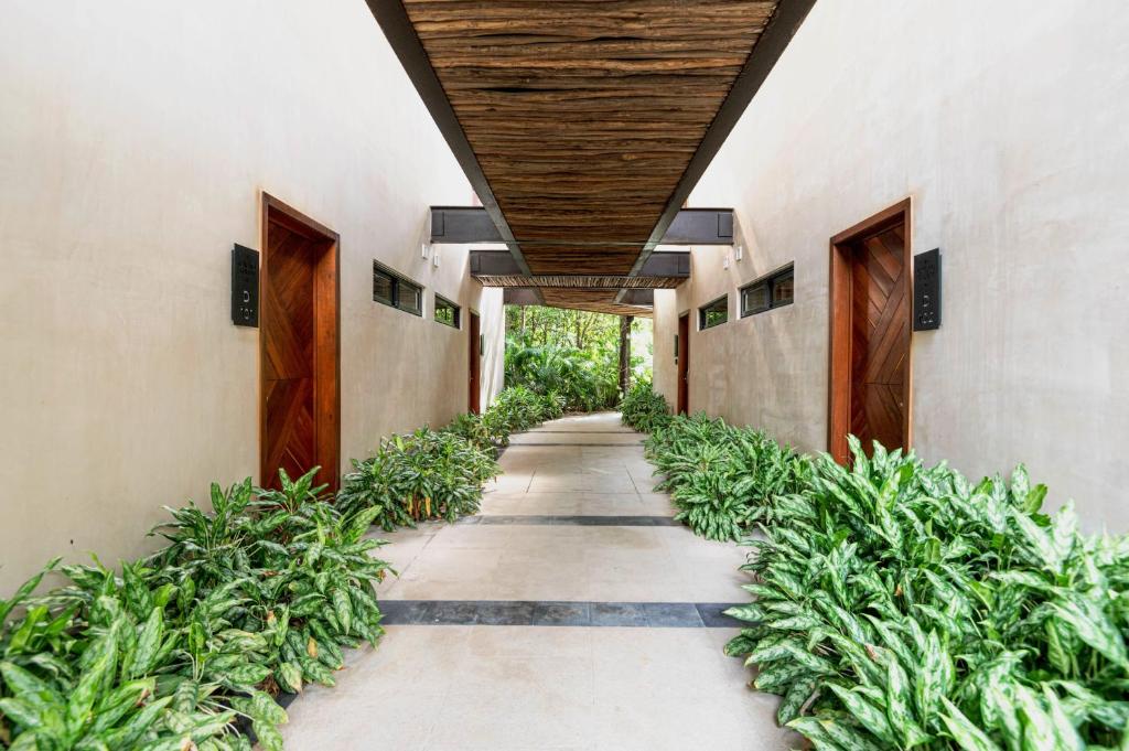 Cacao Tulum - Studio with Exterior Plunge Pool Washer & Dryer - 4