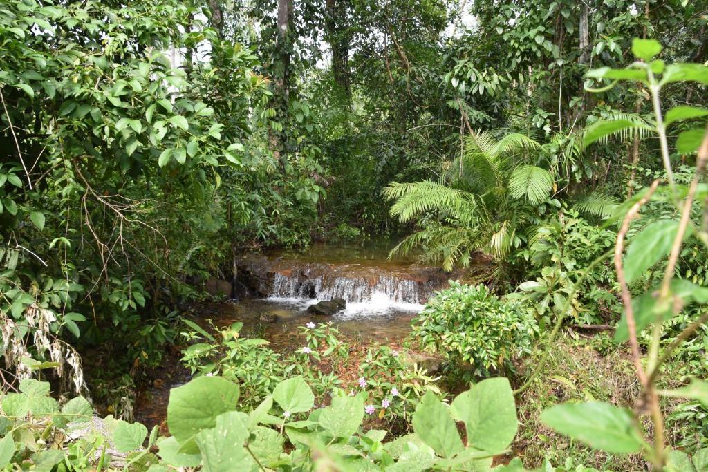 Surrounding environment