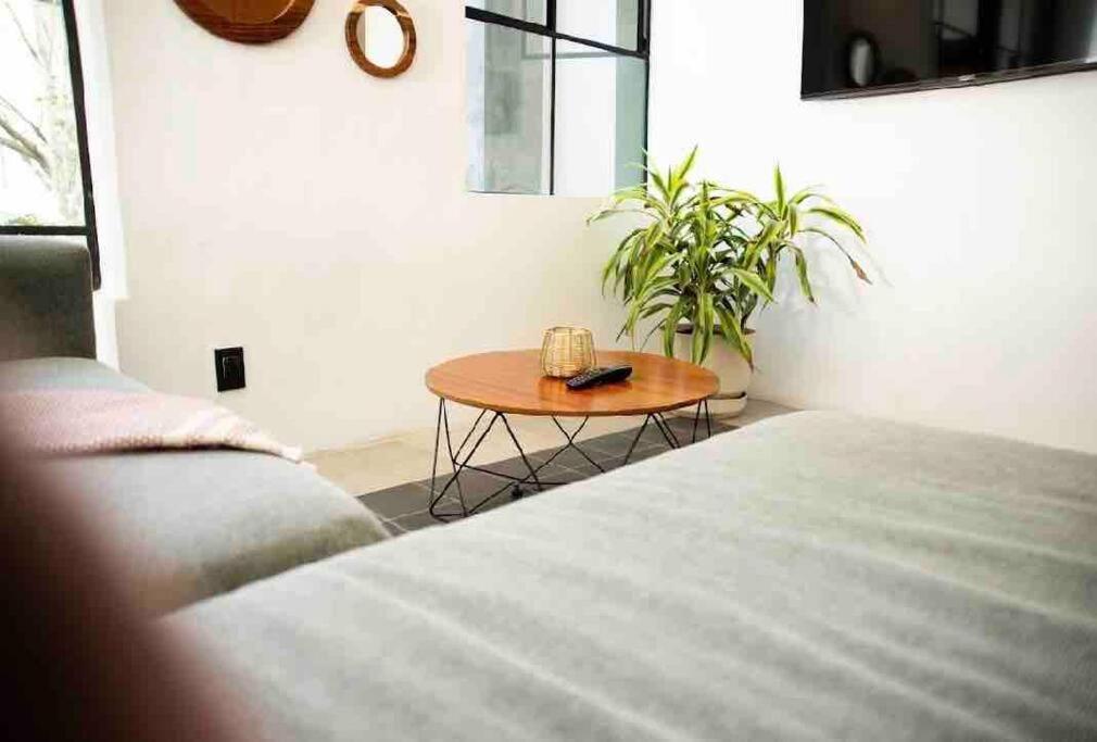 Beautiful loft in Colonia Americana - 5