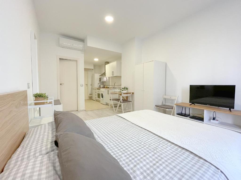 Estudio Malaga centro 2 - 5