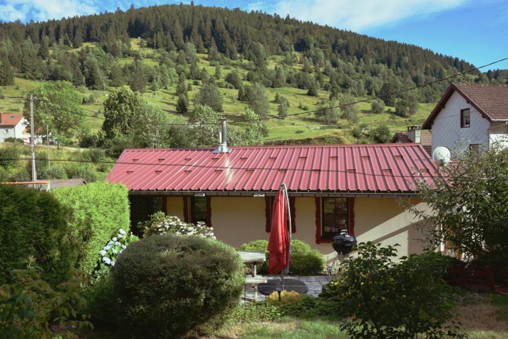 Maison de style chalet individuelle Le Rouge Feigne à La Bresse - 2