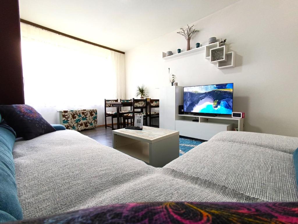 Flamingo 365 - near city center with free parking - 3