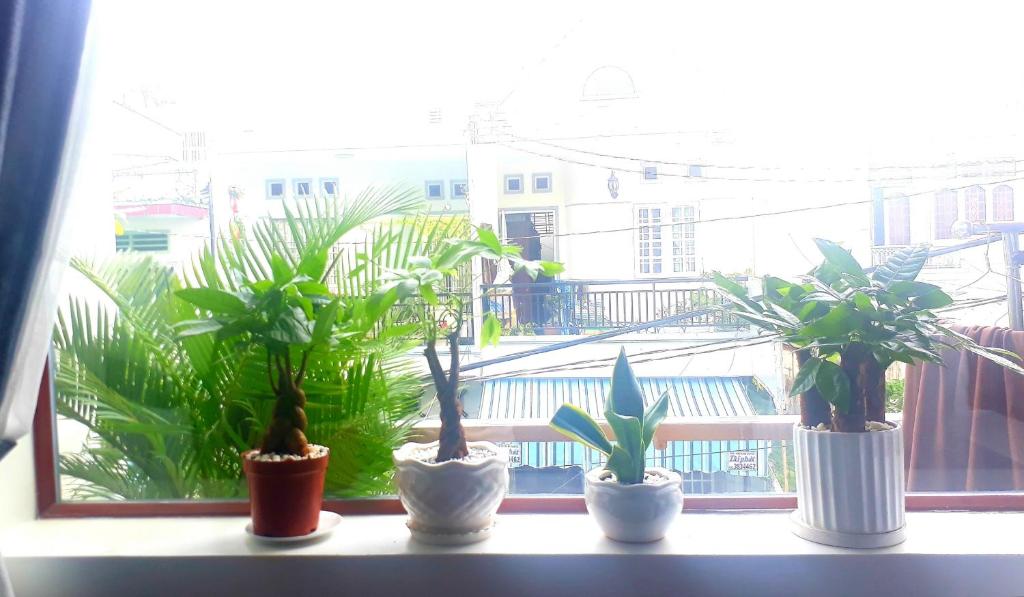 Adora for Expat Adora for Expat