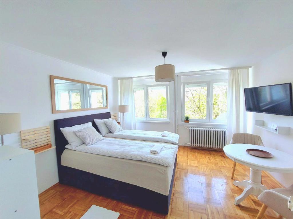 Plavi studio, Banja Luka