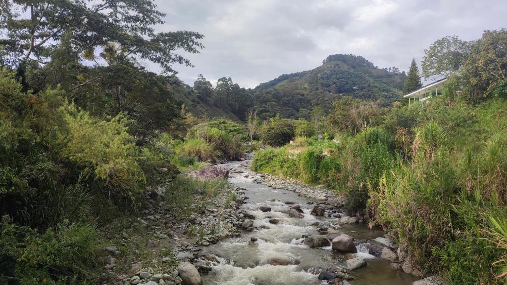 Casa Rio de Cristal - 3