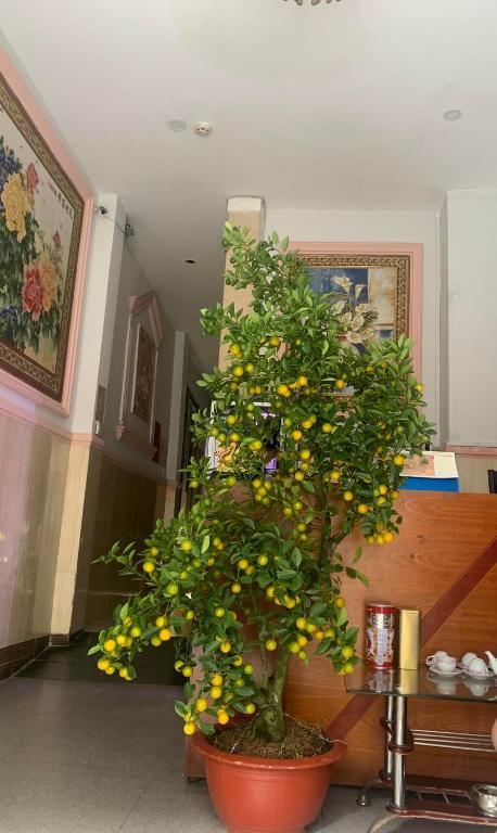 Khách Sạn Ánh Nguyệt 1, Ho Či Minovo Město