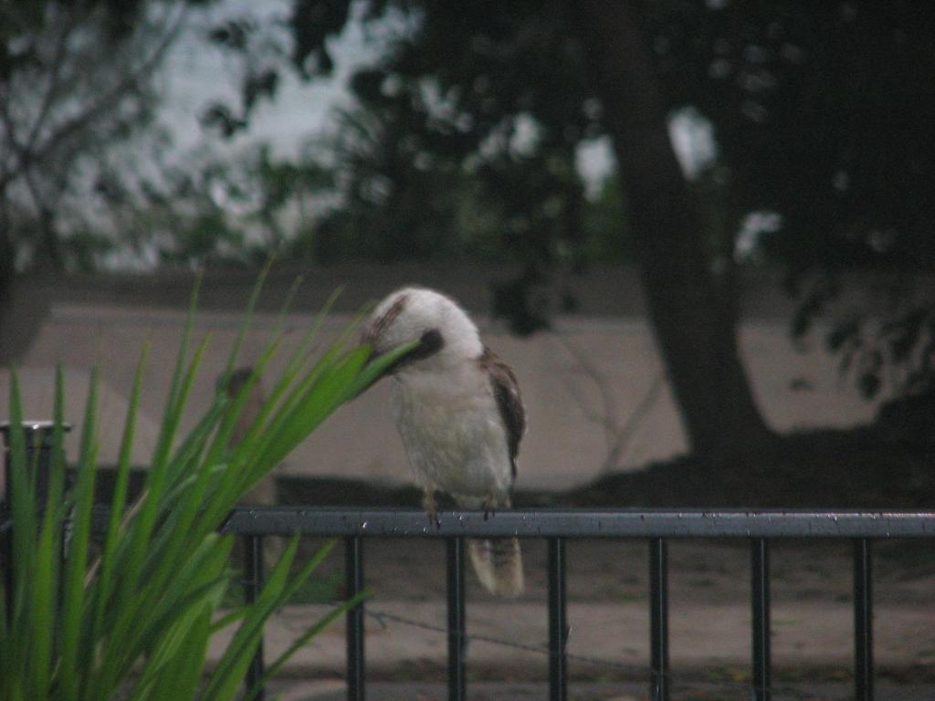 Sea View, South Mission Beach