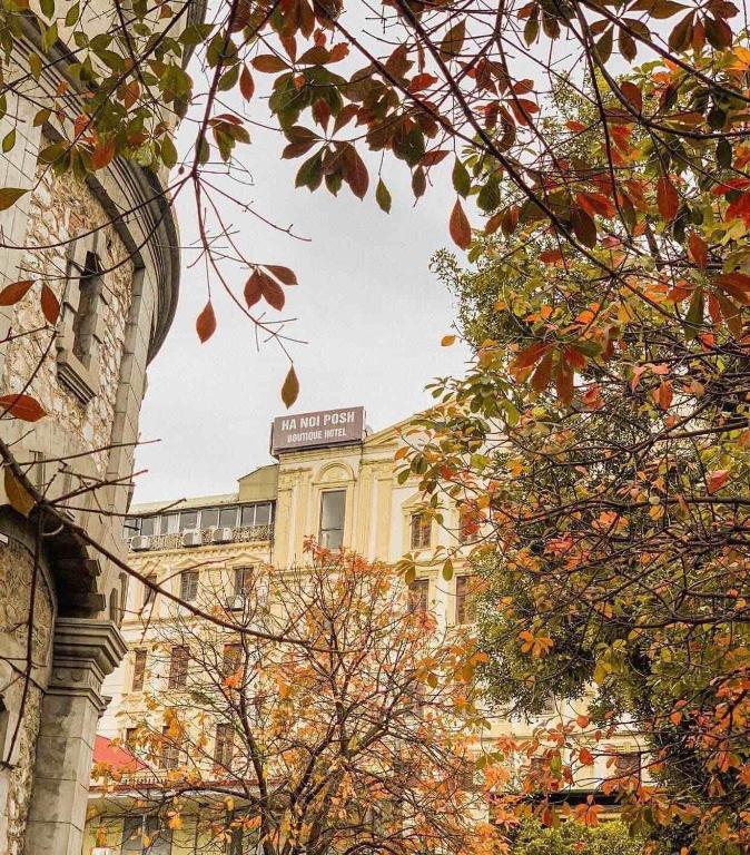 Amazing View, Natural Light