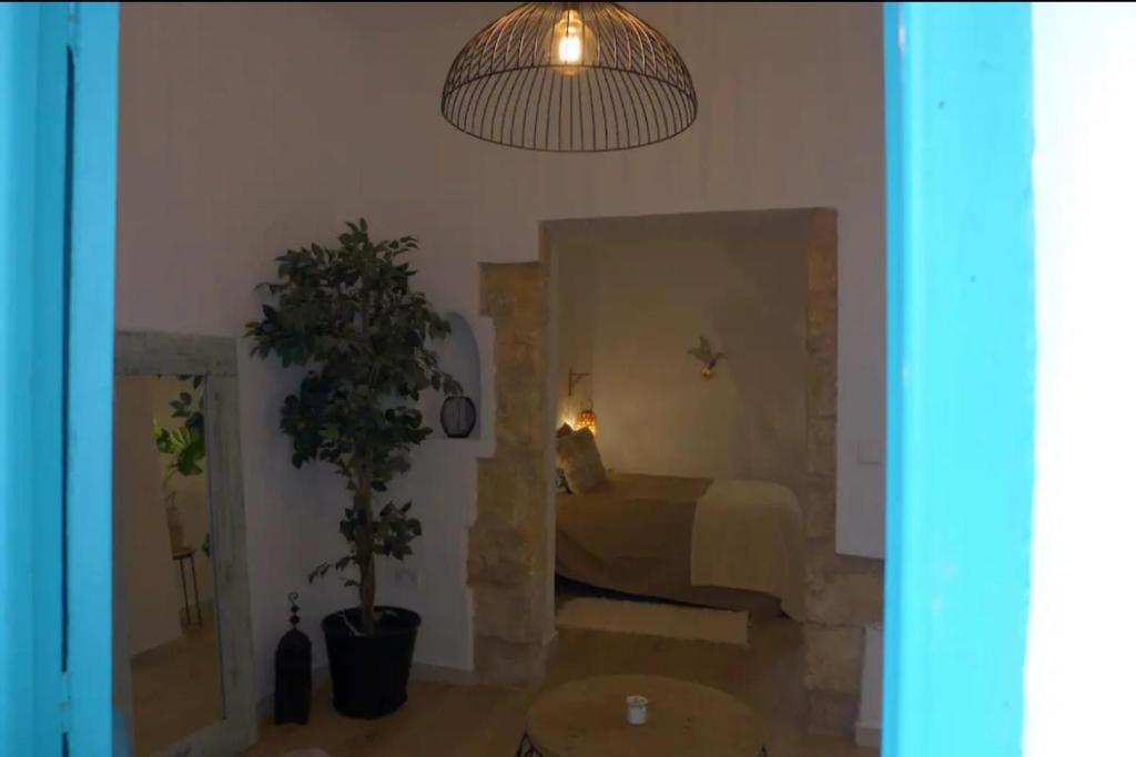 Precioso loft en pleno centro histórico de Vejer - 4