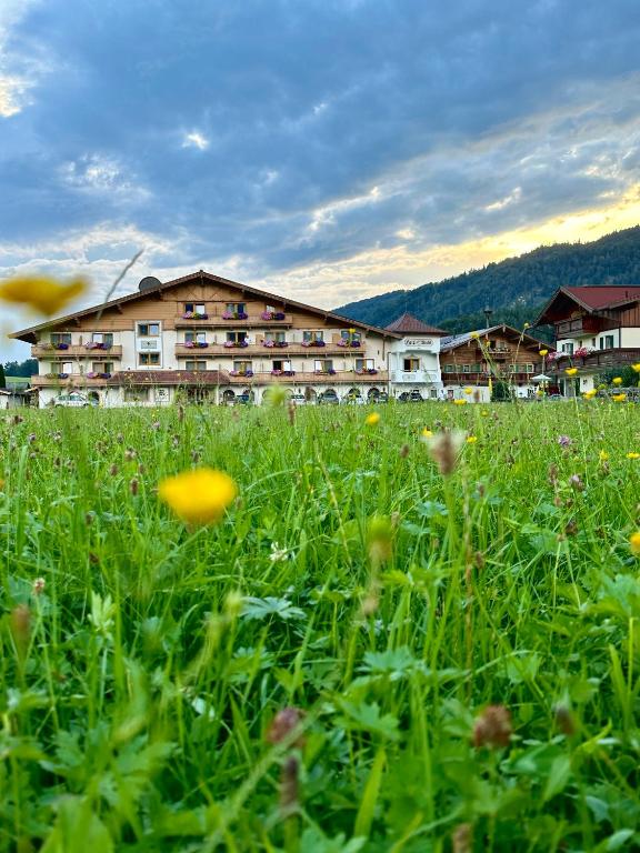 Hotel Riedl