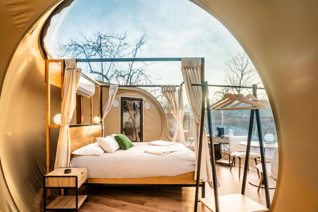 Horizonte Bubble rooms 전경