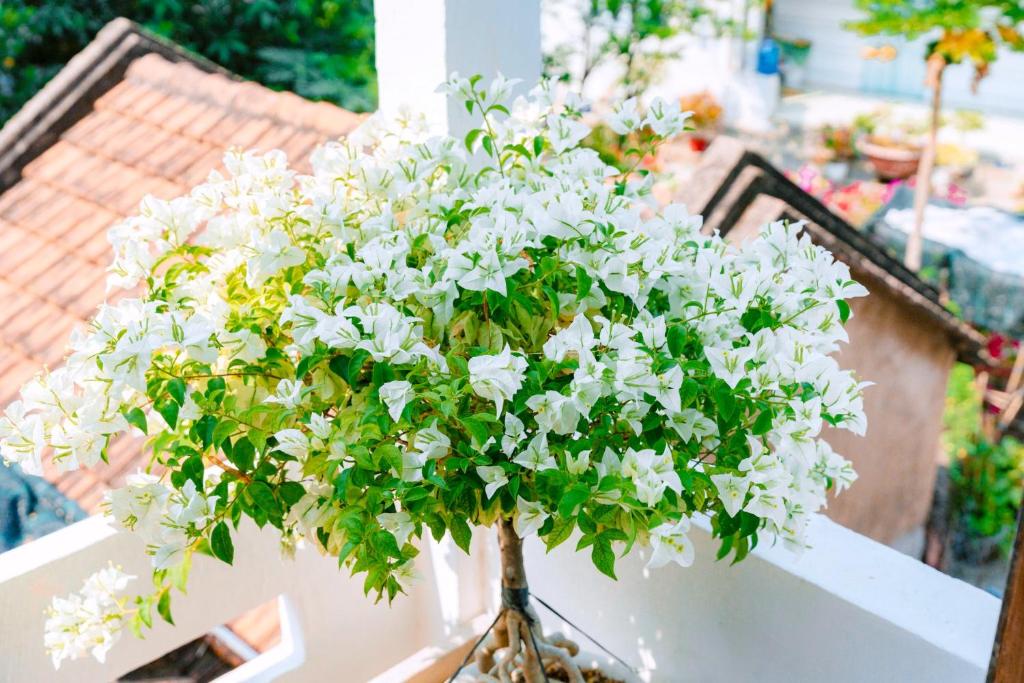 Ruby Homestay Phú Yên